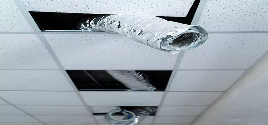 Affordable HVAC Sanitizing After Pest Removal in Princeton