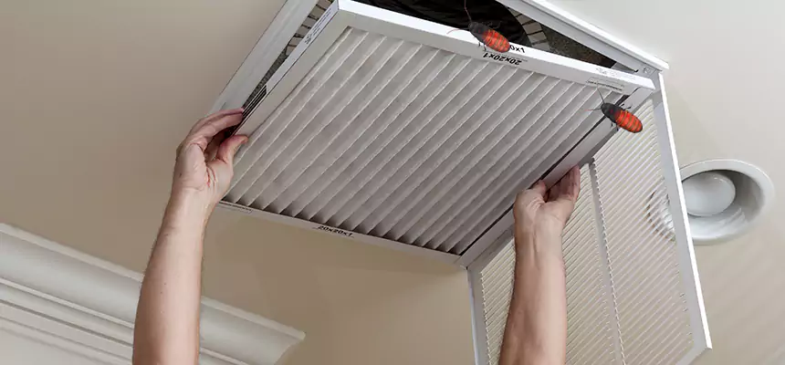 Our Insect Removal from Air Ducts Services in Princeton, FL
