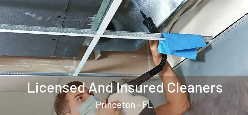 Licensed And Insured Cleaners Princeton - FL