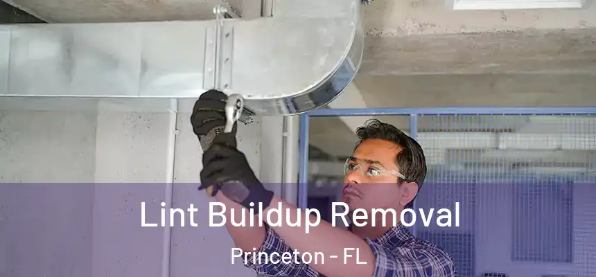 Lint Buildup Removal Princeton - FL