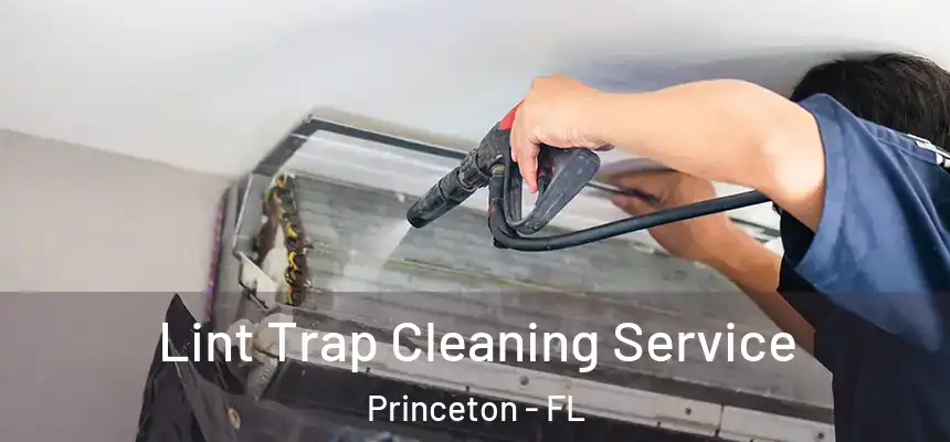 Lint Trap Cleaning Service Princeton - FL