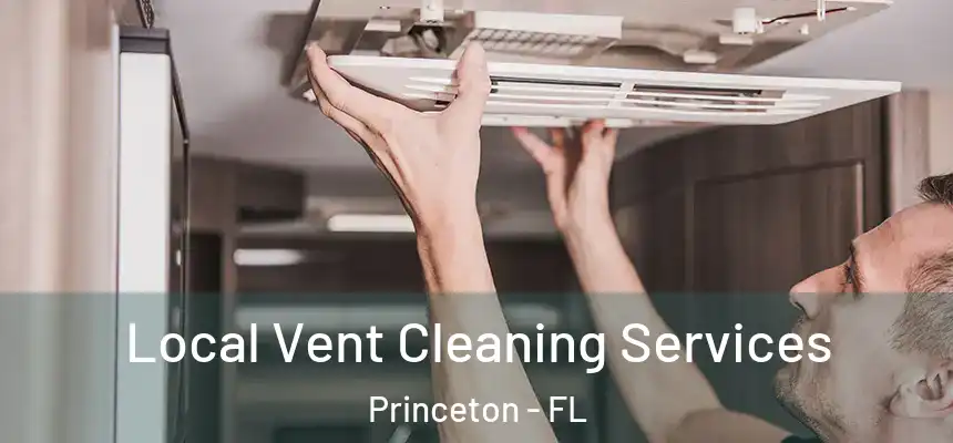 Local Vent Cleaning Services Princeton - FL