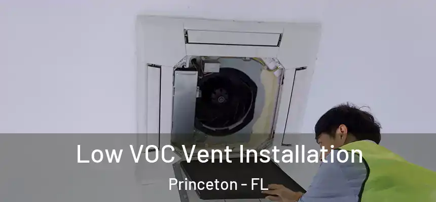 Low VOC Vent Installation Princeton - FL