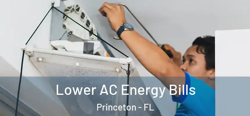  Lower AC Energy Bills Princeton - FL