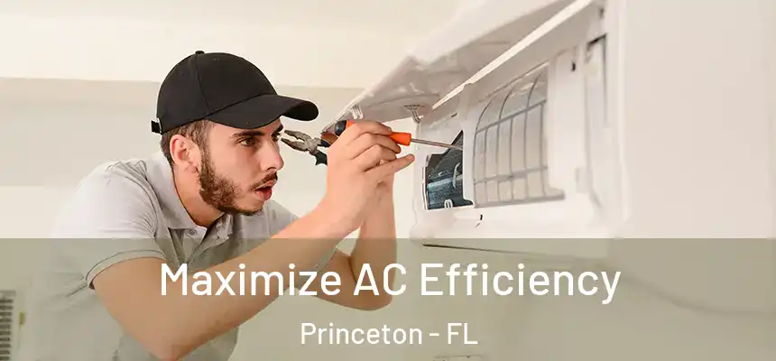 Maximize AC Efficiency Princeton - FL