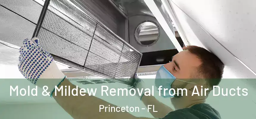 Mold & Mildew Removal from Air Ducts Princeton - FL