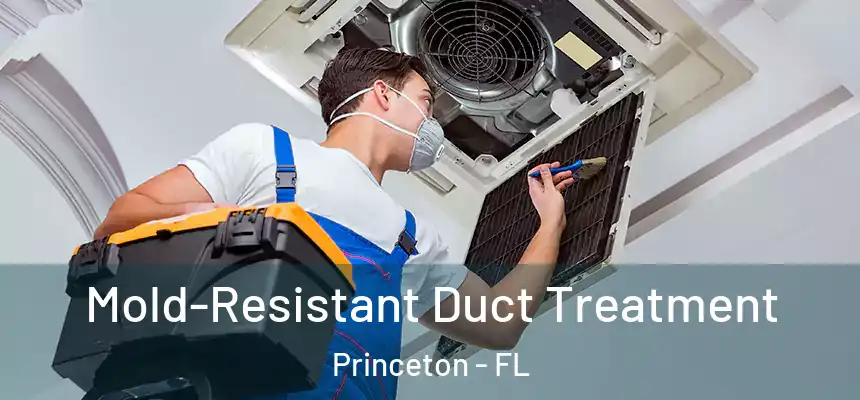 Mold-Resistant Duct Treatment Princeton - FL