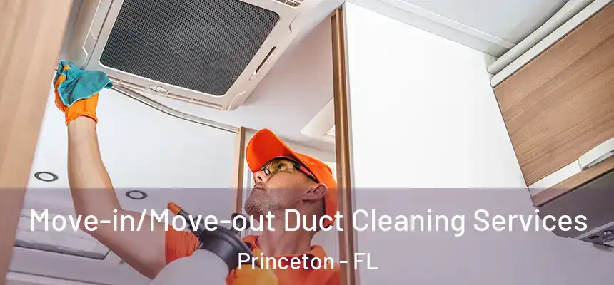 Move-in/Move-out Duct Cleaning Services Princeton - FL