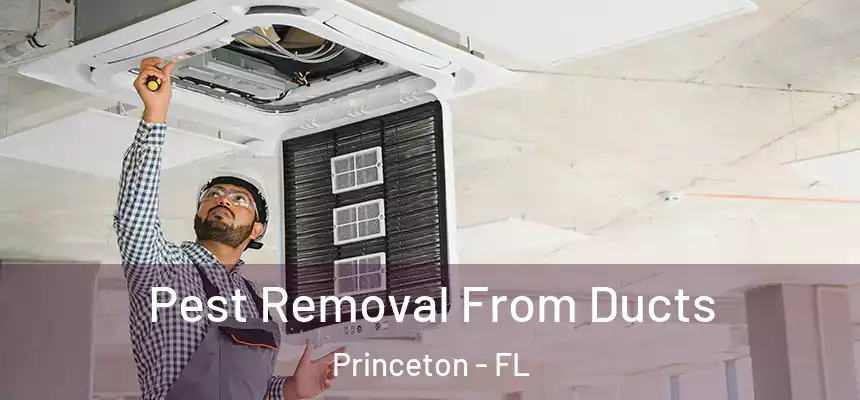Pest Removal From Ducts Princeton - FL
