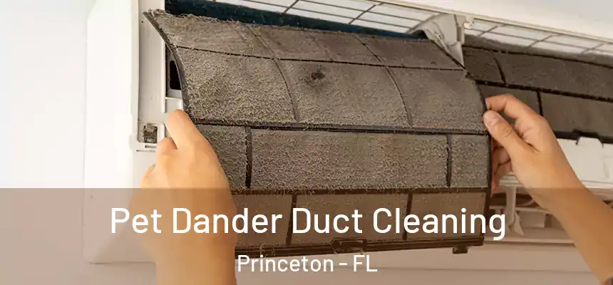  Pet Dander Duct Cleaning Princeton - FL
