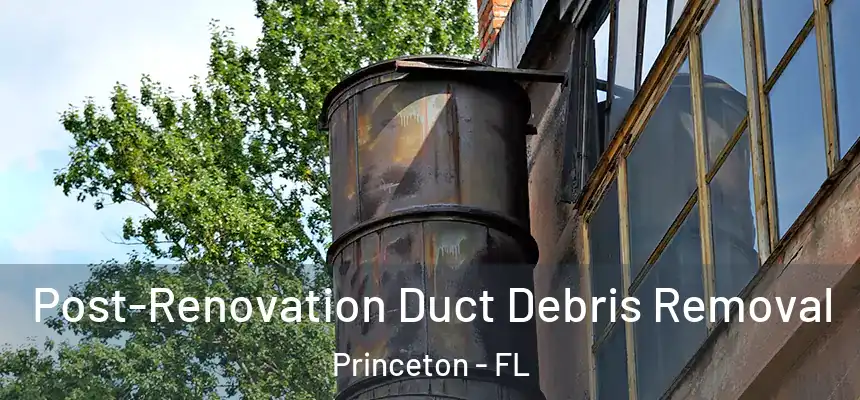  Post-Renovation Duct Debris Removal Princeton - FL