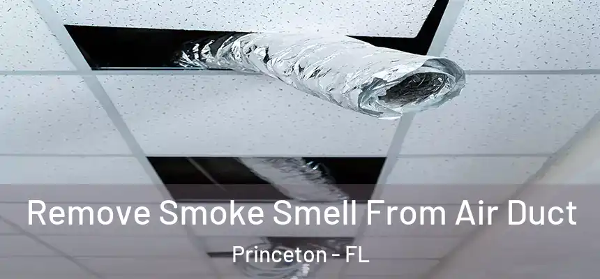 Remove Smoke Smell From Air Duct Princeton - FL