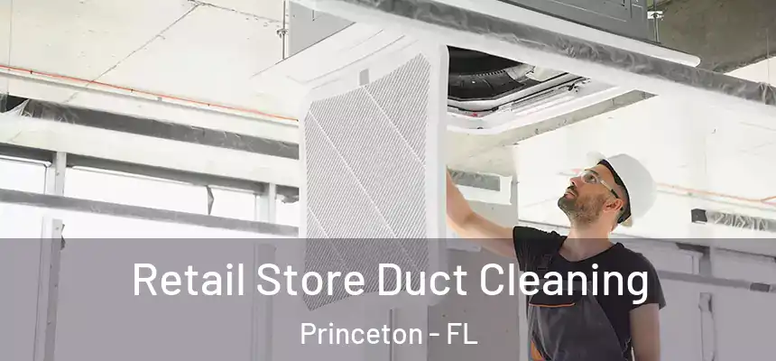  Retail Store Duct Cleaning Princeton - FL