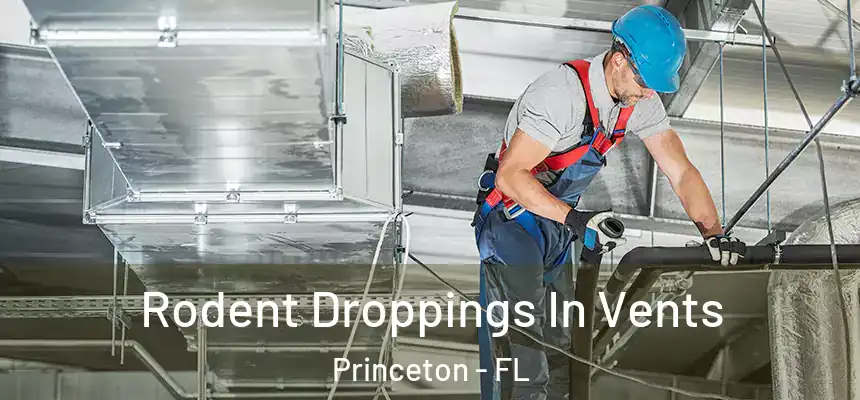 Rodent Droppings In Vents Princeton - FL