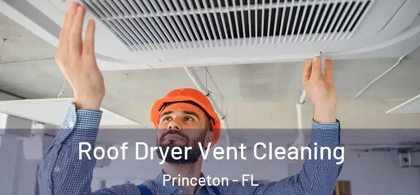 Roof Dryer Vent Cleaning Princeton - FL