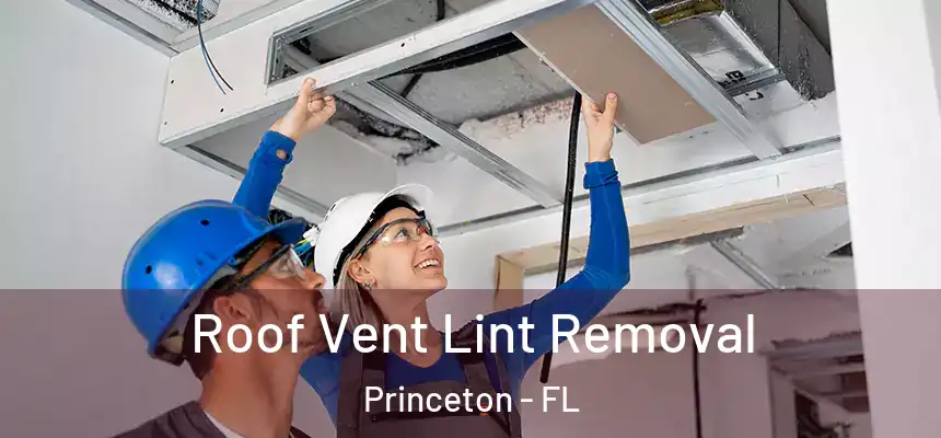 Roof Vent Lint Removal Princeton - FL