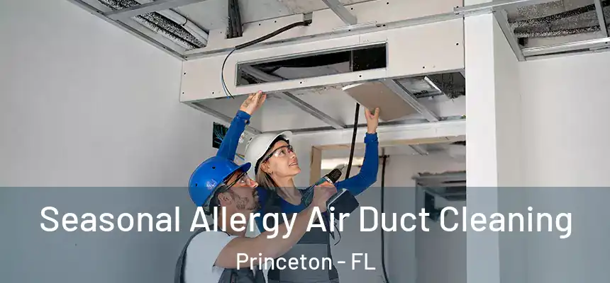 Seasonal Allergy Air Duct Cleaning Princeton - FL