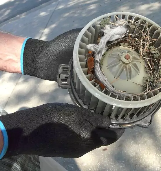 About Air Duct Rat Removal in Princeton, FL