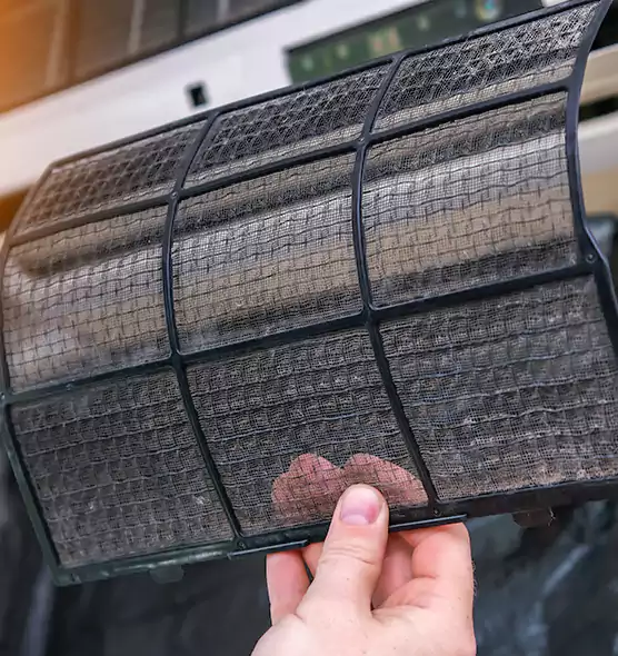About Pet Dander Duct Cleaning in Princeton, FL