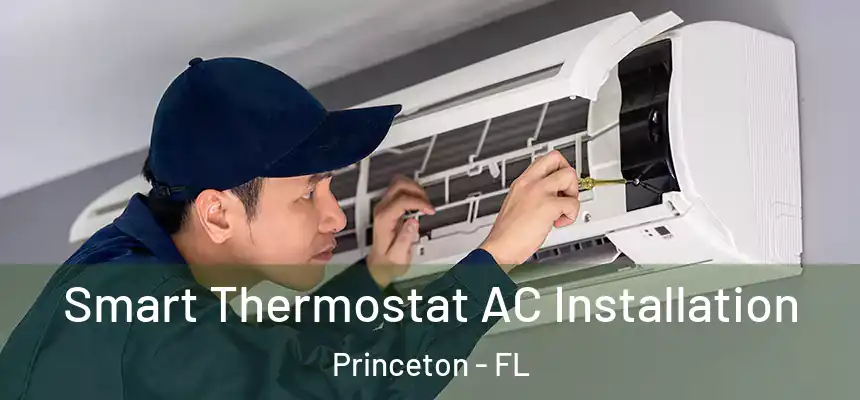 Smart Thermostat AC Installation Princeton - FL