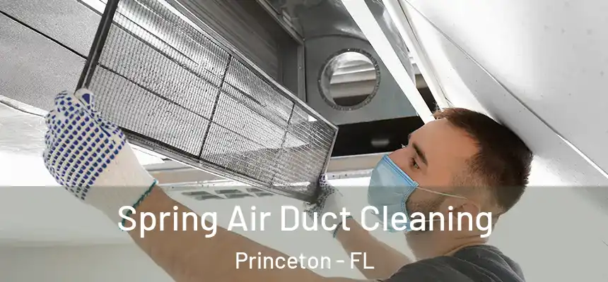 Spring Air Duct Cleaning Princeton - FL