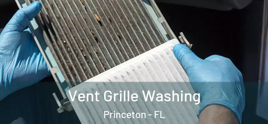 Vent Grille Washing Princeton - FL