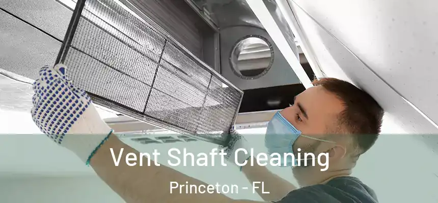  Vent Shaft Cleaning Princeton - FL
