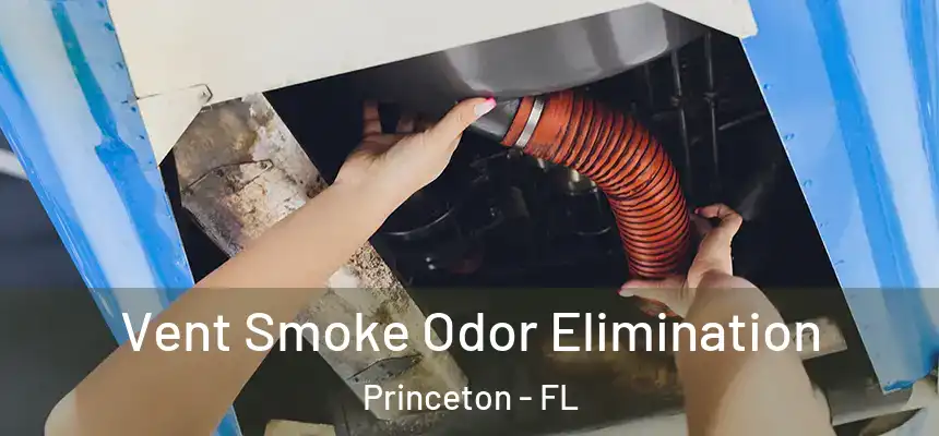 Vent Smoke Odor Elimination Princeton - FL