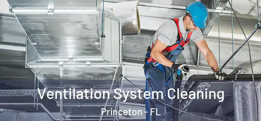 Ventilation System Cleaning Princeton - FL