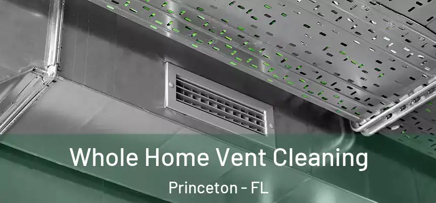 Whole Home Vent Cleaning Princeton - FL