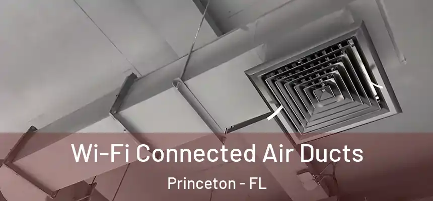 Wi-Fi Connected Air Ducts Princeton - FL